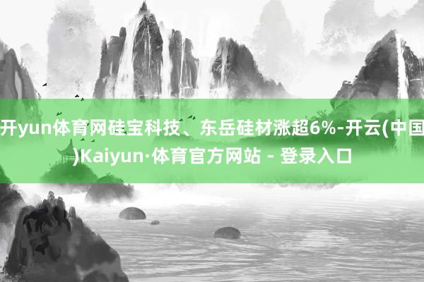 开yun体育网硅宝科技、东岳硅材涨超6%-开云(中国)Kaiyun·体育官方网站 - 登录入口