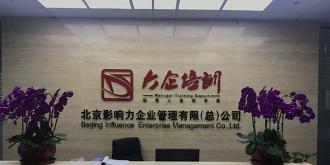 北京影响力企业管理咨询 双轮驱动的智慧引擎